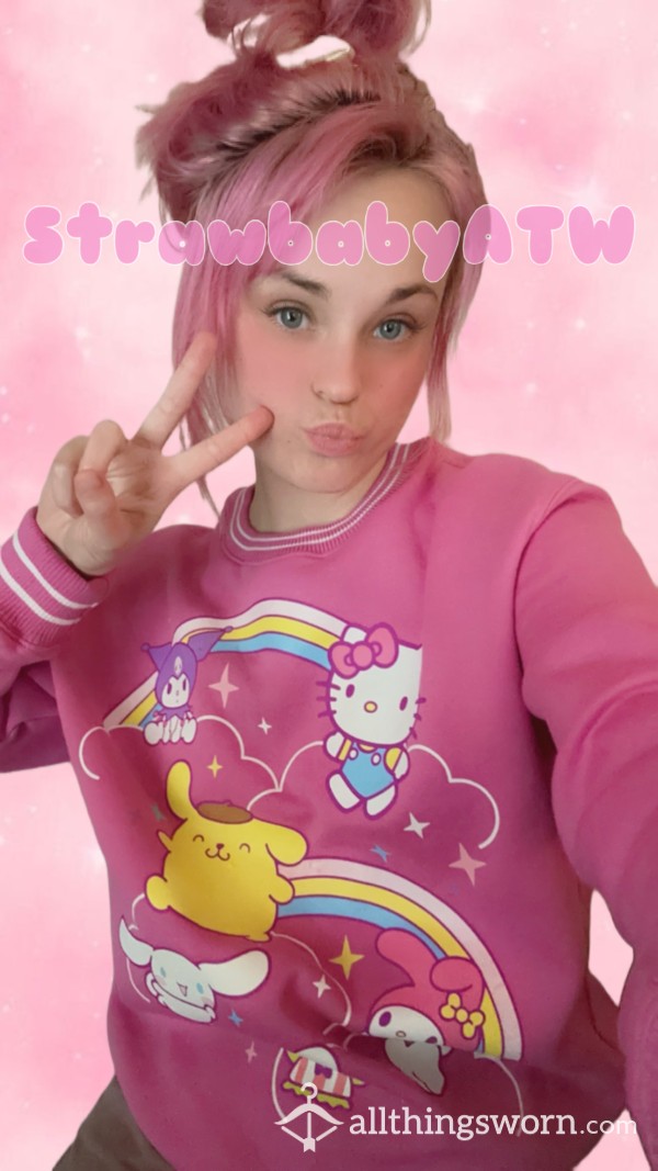 Hello Kitty PullOver Sweater | Pink, Kawaii, Cute, Girly | Small | BO | Smelly | Armpits
