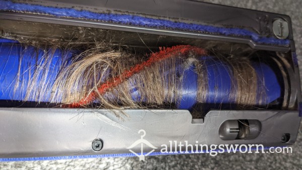 Hoover Hair Dustbin