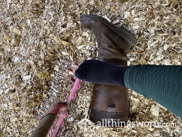 Horse Chores, Sweaty Socks