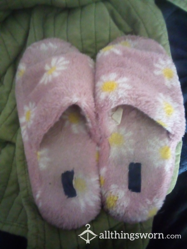Just Some Old Filthy Slippers Size 9