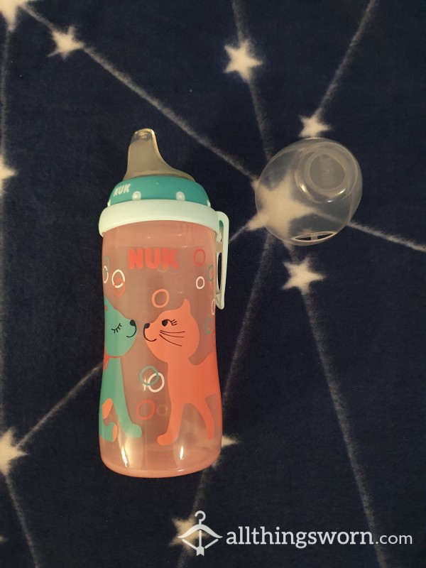 Kitten Bottle With Baby Formula