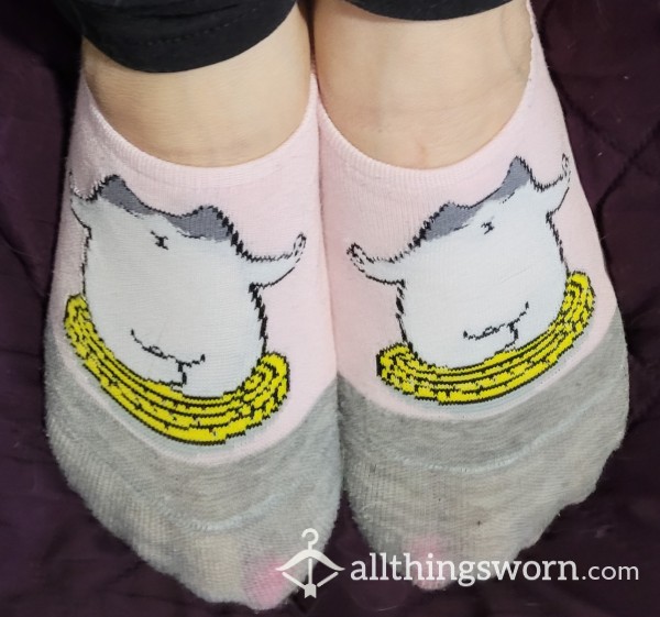 Kitty Picture No Show White, Pink, Grey Socks FREE Shipping In US