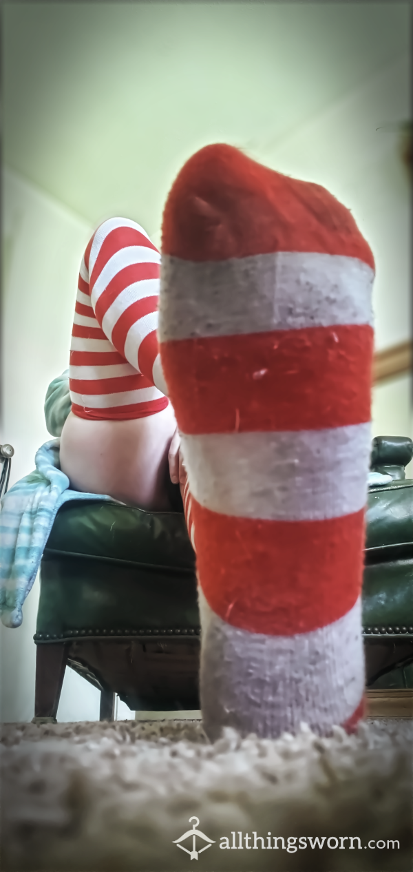 Knee-High Red And White Striped Socks - Dirty, Stinky, Used, Well Worn