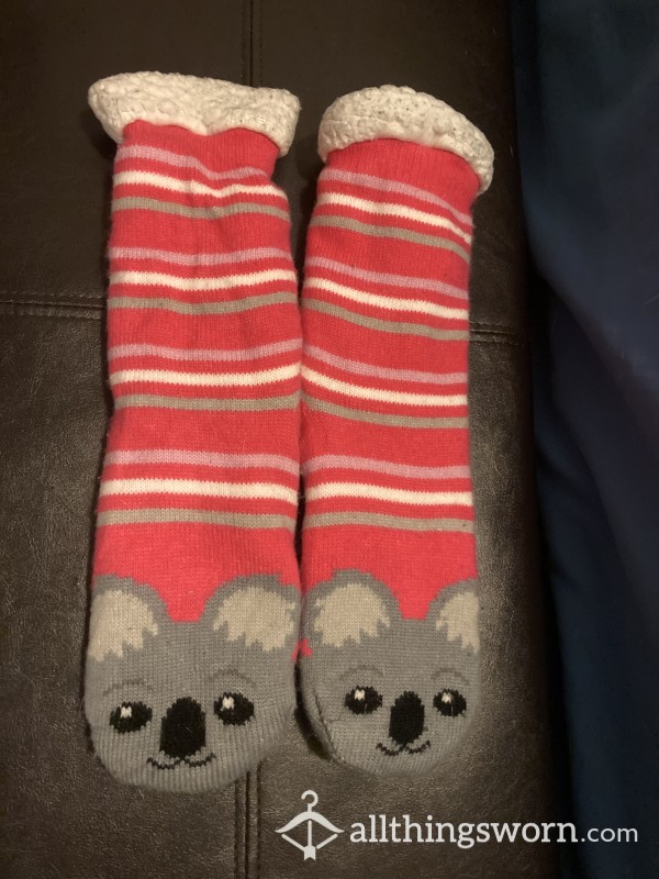 Koala Bear Slipper Socks