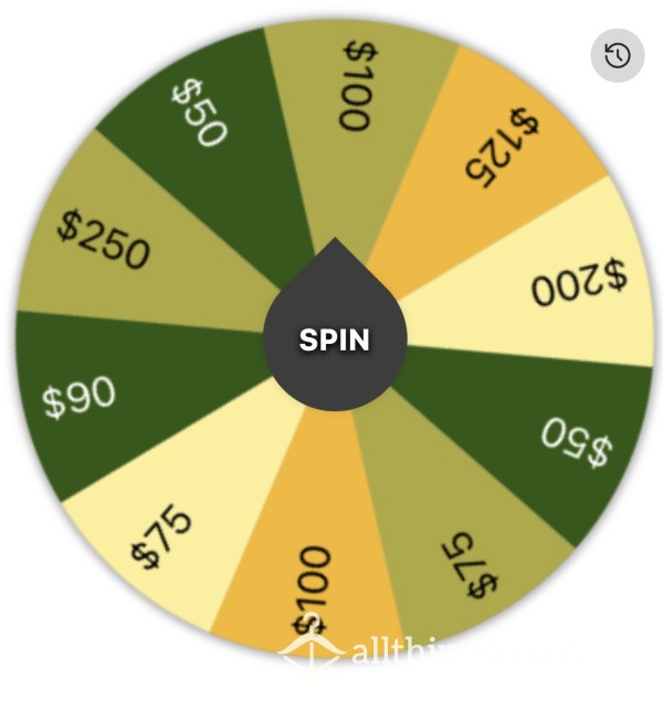 Large 💸💸💸 Findom Wheel Spins