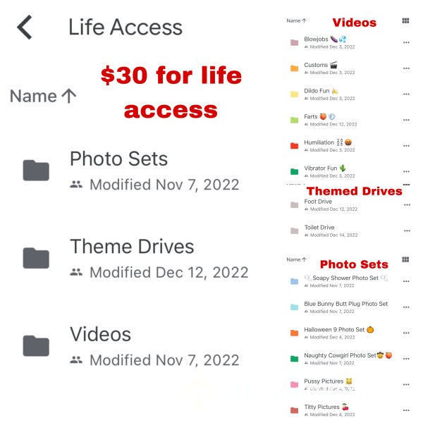 LIFE TIME ACCESS TO MY GOOGLE DRIVE