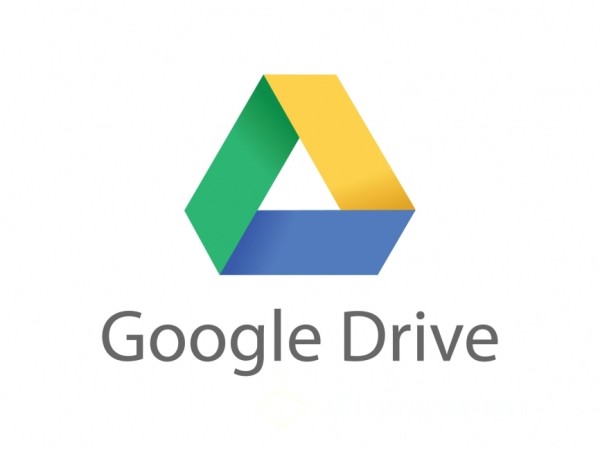 Lifetime Google Drive Access