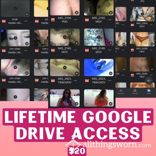Lifetime Google Drive Access