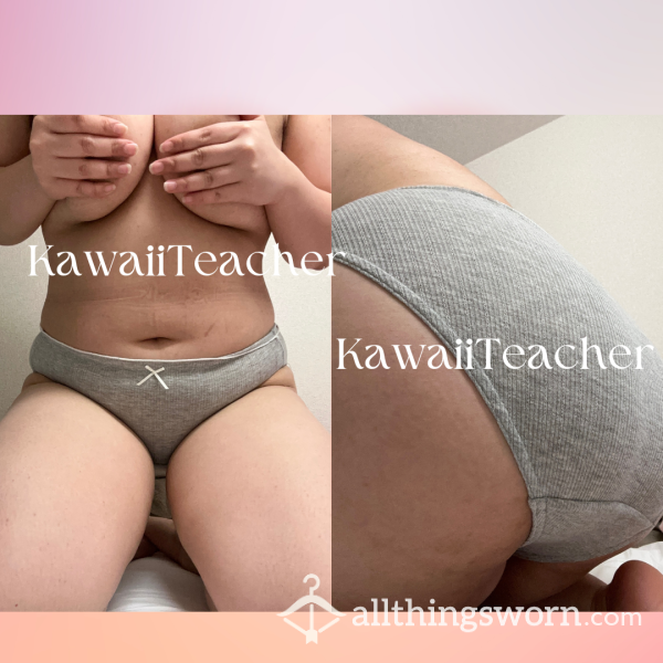 Light Gray Cotton Panties Worn For A Day Or More