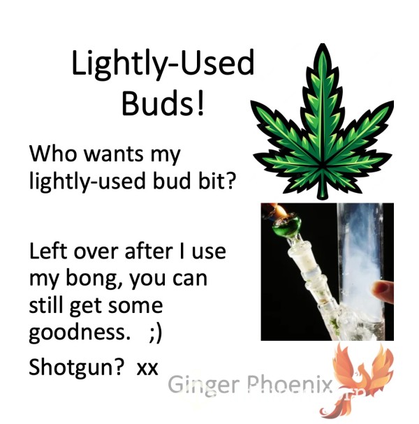 Lightly-Used Bud!  *  Be My Ashtray!  *  Empty My Bong Like A Good Little Sub!  ;) Xx