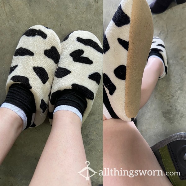 Lightly Worn Cow Pattern Slippers💘