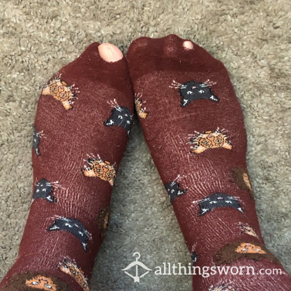 Lions And Tigers And HOLES! OH MY! Calf Height Socks In Need Of Some Love! -- Free Shipping--