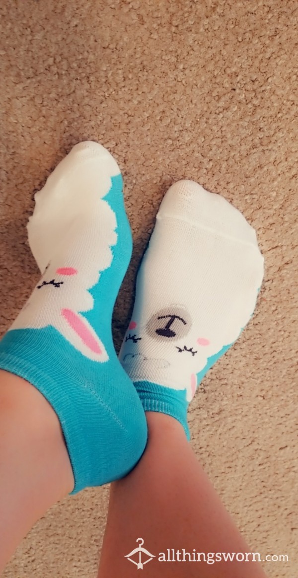 Llama Socks!
