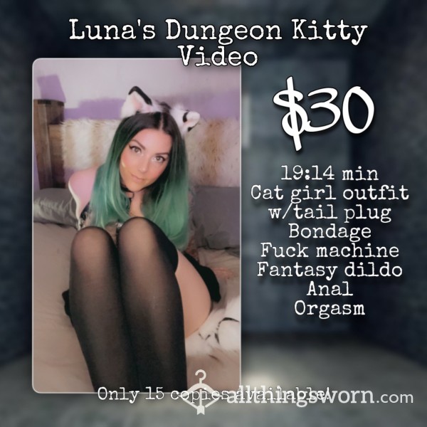 ⛓ Luna’s Dungeon Kitty Video 🐈‍⬛