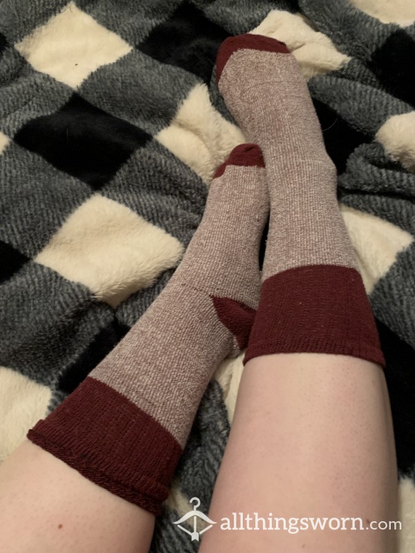 Maroon Wool Socks