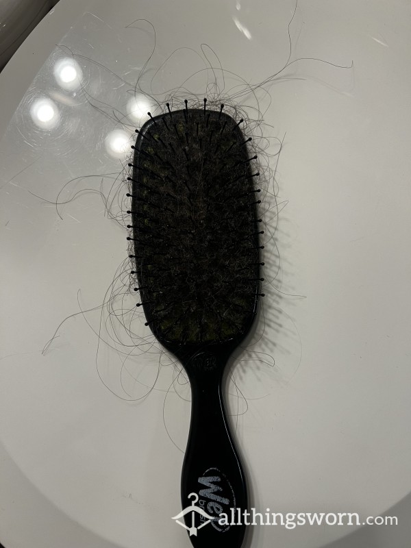 Meg’s Old Hair Brush 🤭