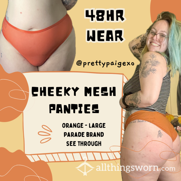 Mesh Cheeky Panties 🔥 Size Large, Parade Brand..  See Through 😏 Worn 48hrs 🧡