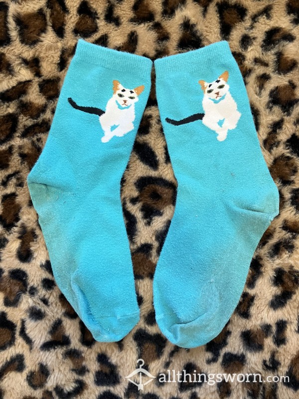🐱🩵 Mildly Worn Save Our Cats And Kittens Sanctuary (S.O.C.K.S) Blue Socks With Mascot Gretchen 🩵🐱