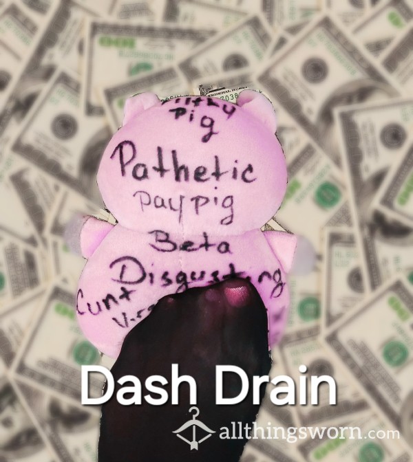 Molly's Dash Drain - Paypig