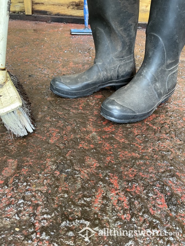 Mucky Boots — Watch Me Clean Out Very Dirty Shed