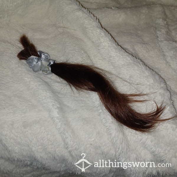 My 10" Ponytail Lock Of Hair