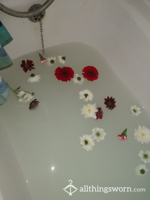 My Bath Water🛀