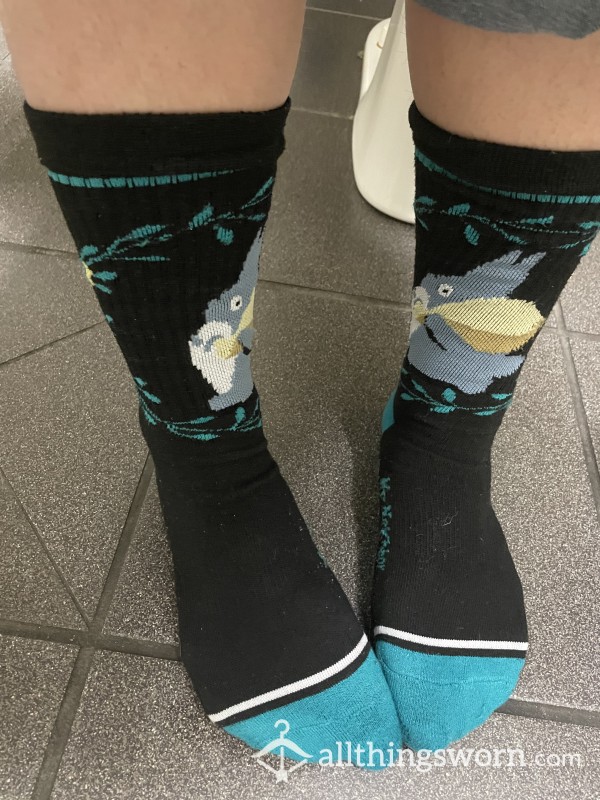 My Favorite Smelly Totoro Socks