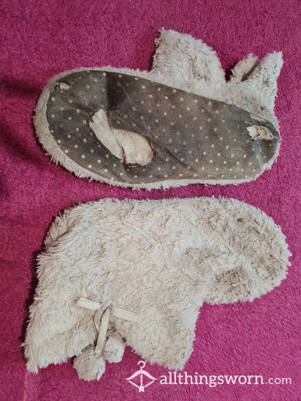 My Old Favourite Slippers