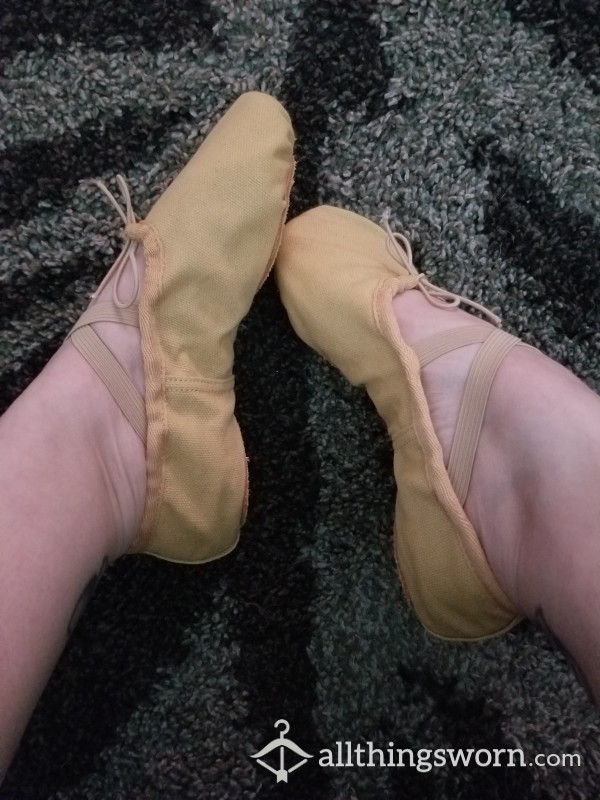 Nude Ballet Slippers