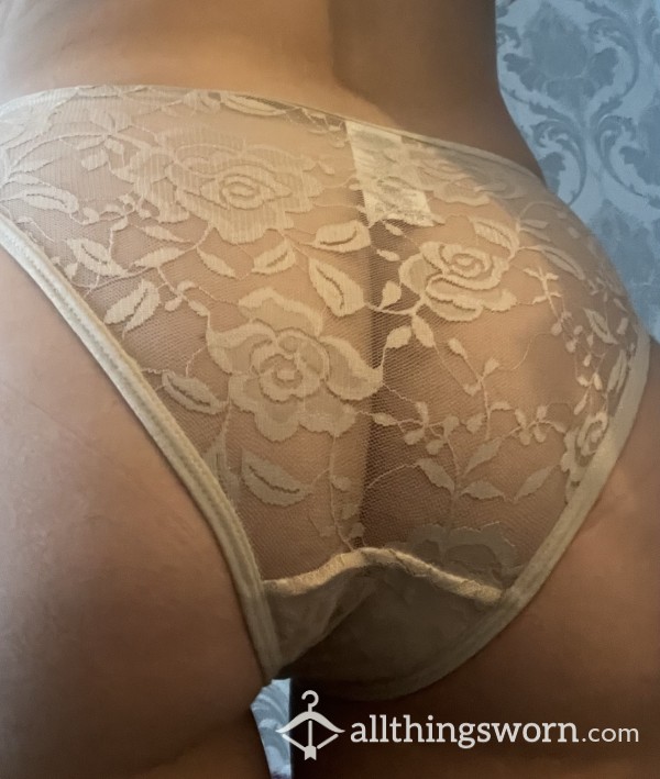 Nude Mesh Lace Full Back Panty