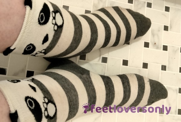 'Oh My!' Panda - Cute Stripes And Animal Faces Sock Series - Current Wear Rotation -1yr Old