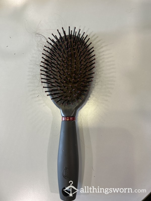 Old Hair Filled Brush