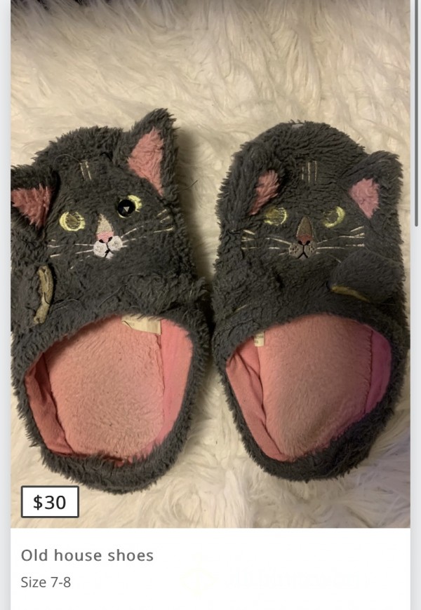 Old Kitty House Shoes