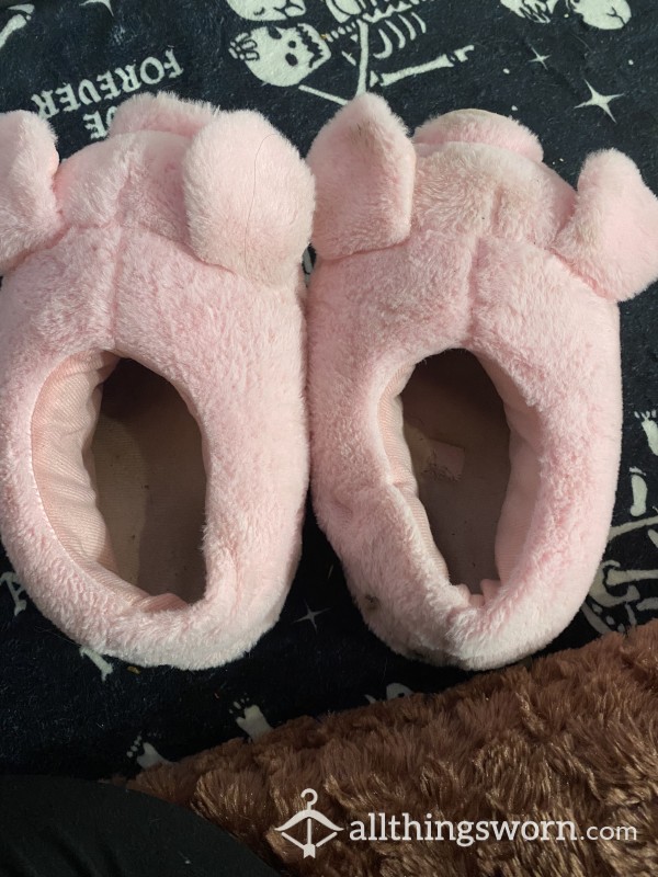 Old Piggy Slippers😻