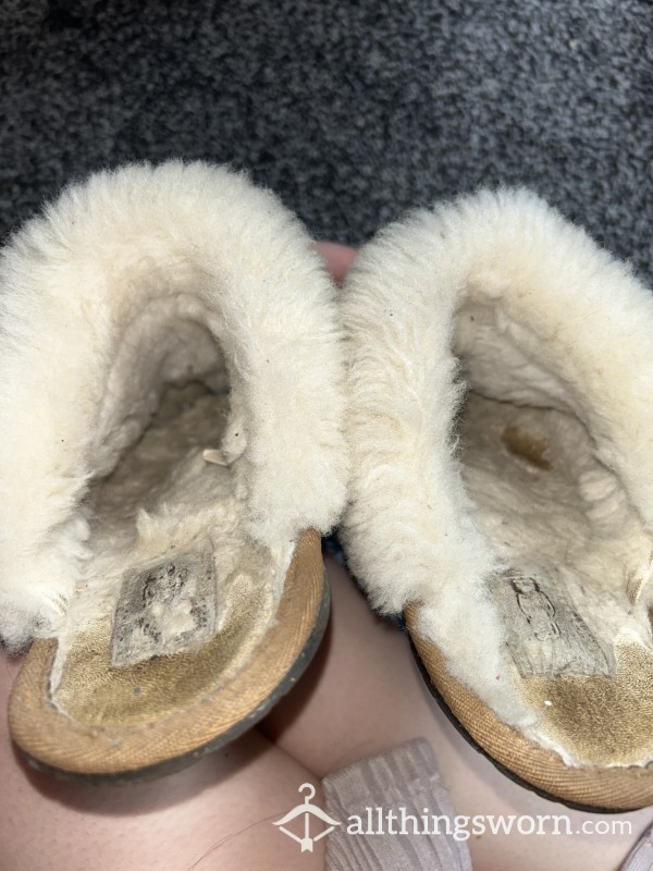 Old Stinky Slippers