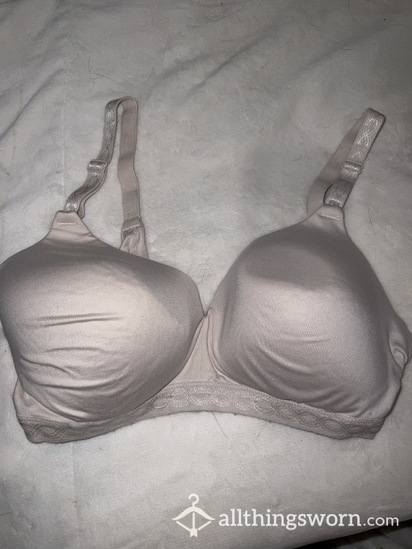 Old Worn Out Padded Bra