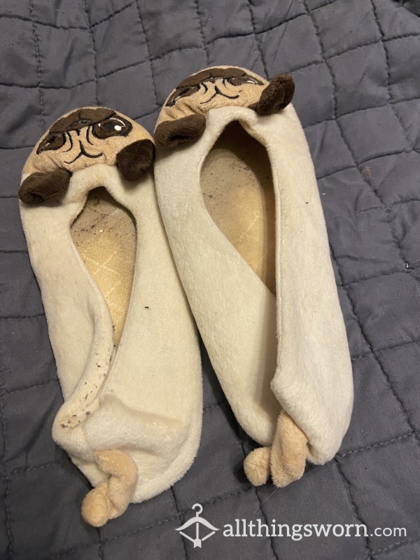 Old Worn Smelly Slippers