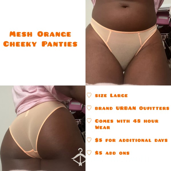Orange Mesh Panties