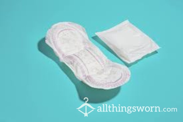 Pads Worn For Scent 🐈 🐈‍⬛ 🐱 24 Hours