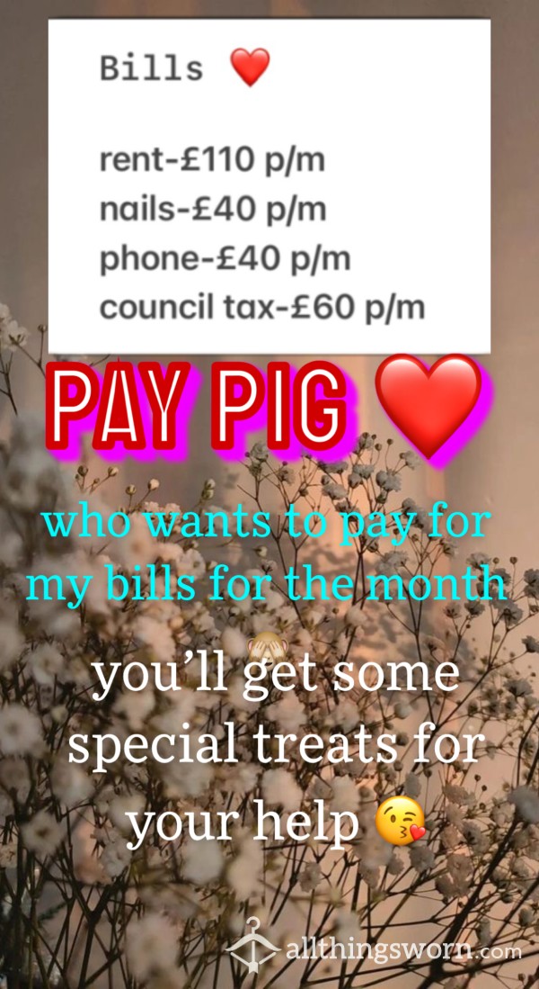 Pay Pig 🐷❤️