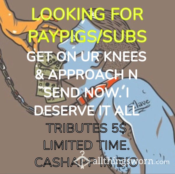 Paypiggies LIMITED TIME TRIBUTE 5$