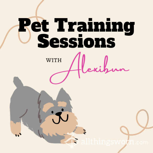Pet Training - Dog Behavior And Tricks