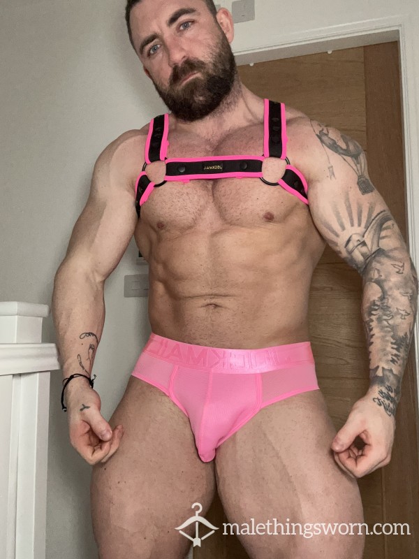 Pink And Black Harness