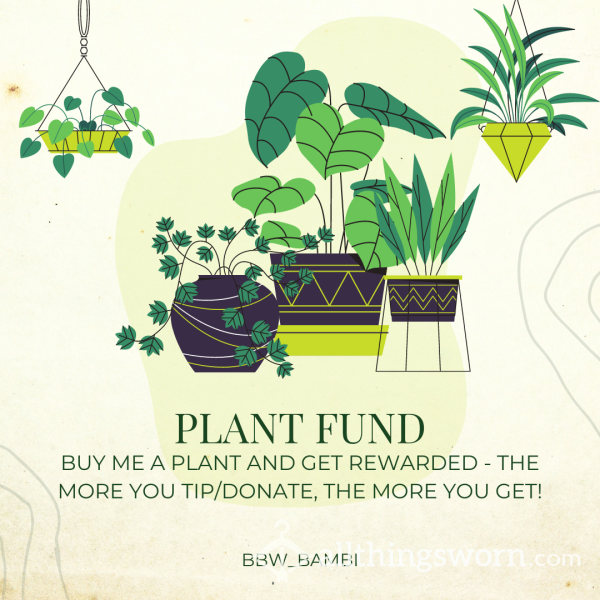 Plant Fund Tips - Get Spoiled In Return!