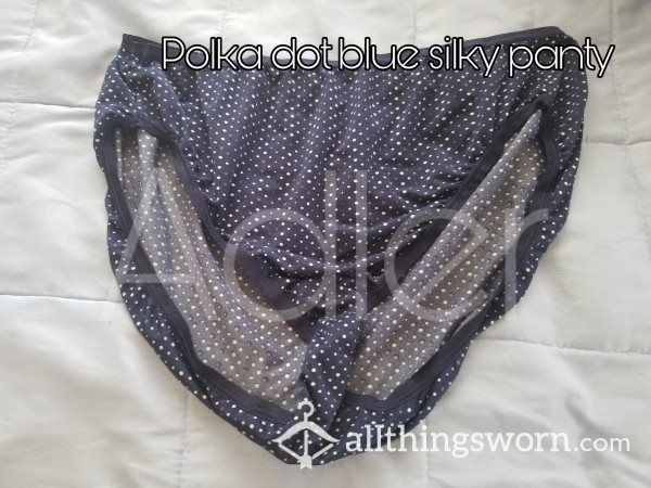 Polka Dot Blue Nylon Panty