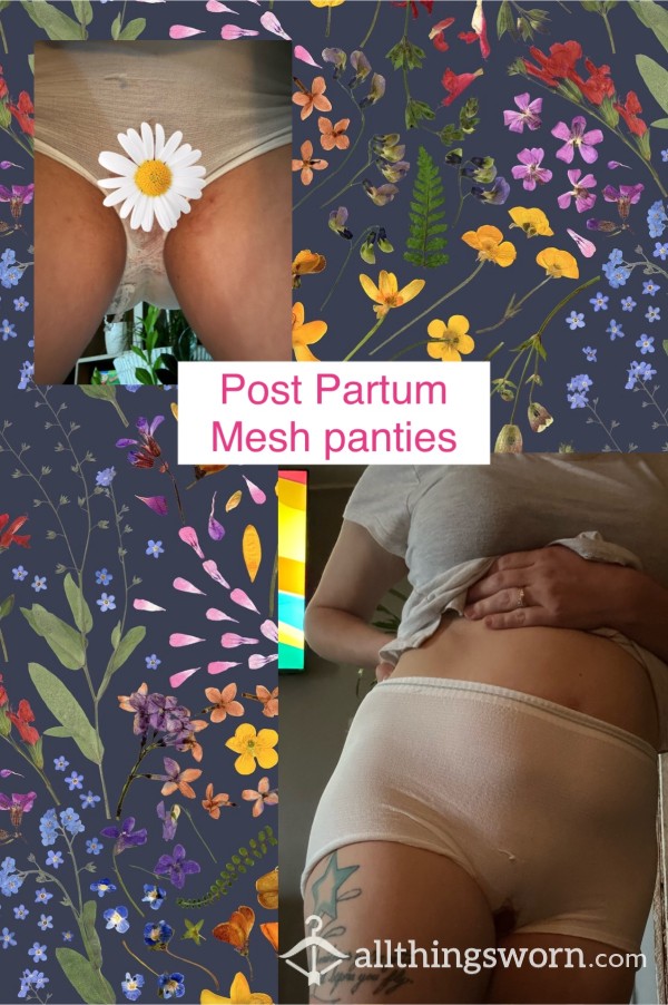 Post Partum Mesh Panties