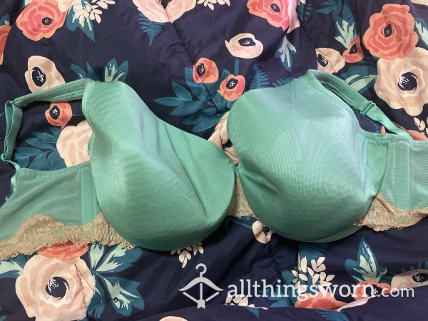 Pretty And Dirty Blue Silk And Lace Bra