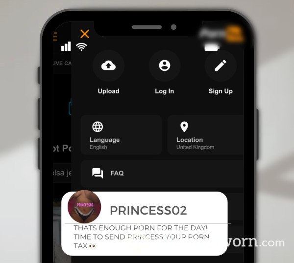 Princess02’s Porn Tax 😈👸
