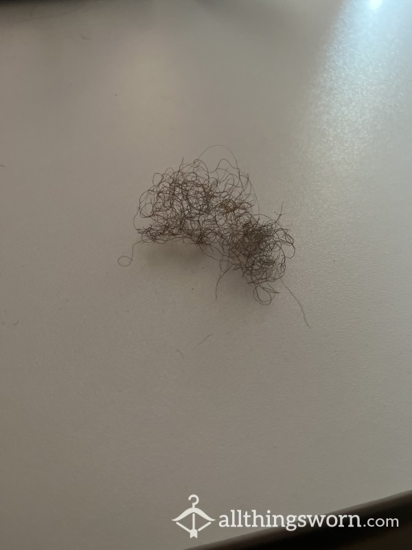 Pube Hairs