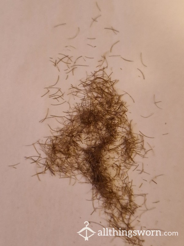 Pubic Hair After 2 Weeks Of Growth